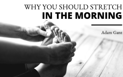 Why You Should Stretch in the Morning