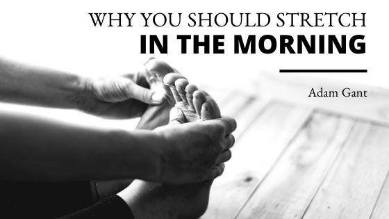 Why You Should Stretch In The Morning Adam Gant